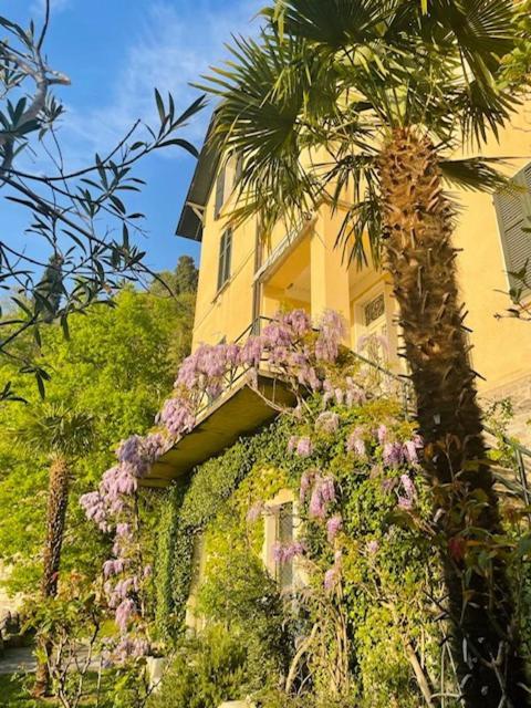 Villa Gina Varenna Eksteriør bilde